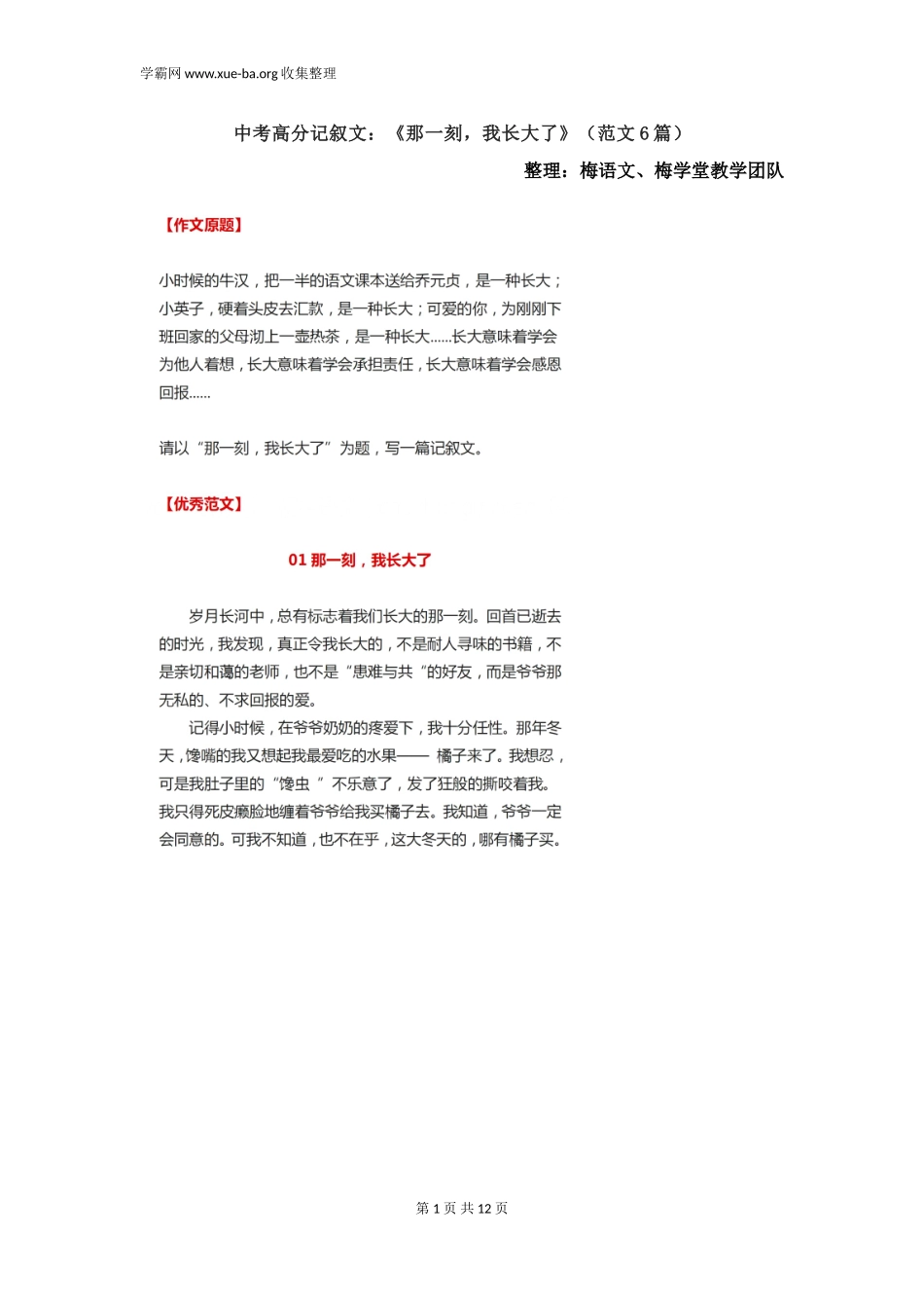 中考高分记叙文《那一刻我长大了》（范文6篇）.doc_第1页