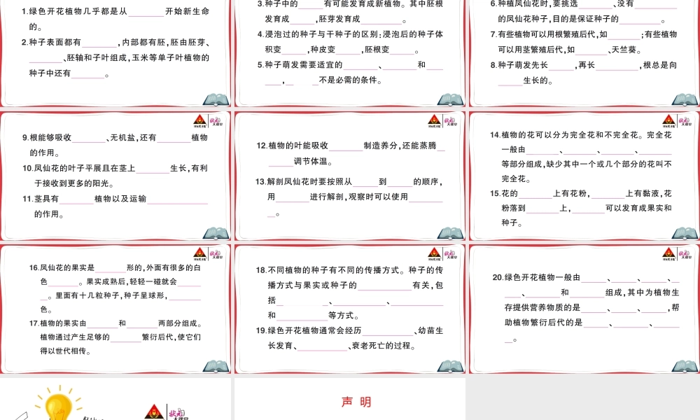 期末复习一 植物的生长变化.ppt