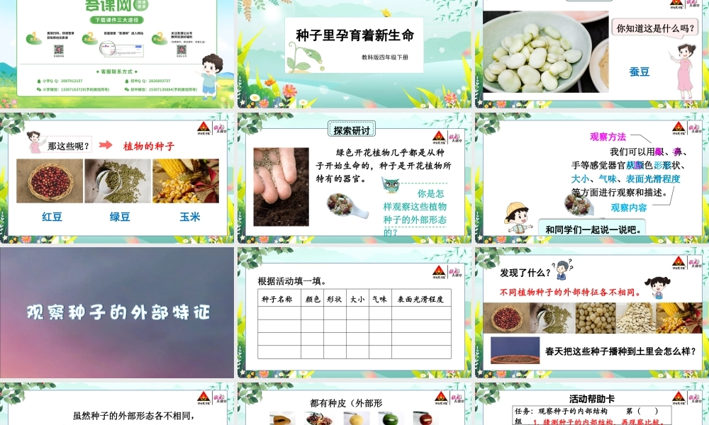 第1课 种子里孕育着新生命.pptx