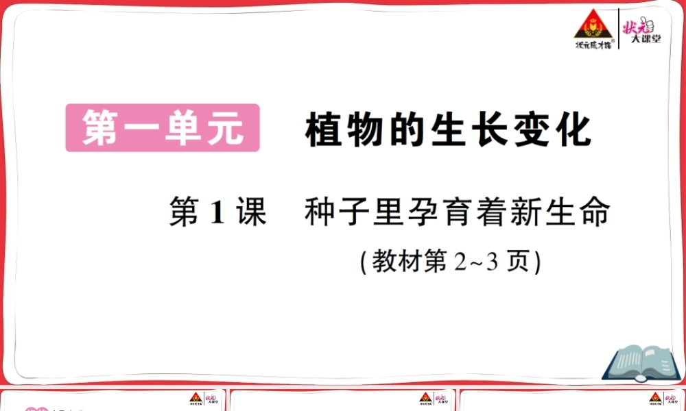 第1课 种子里孕育着新生命.ppt