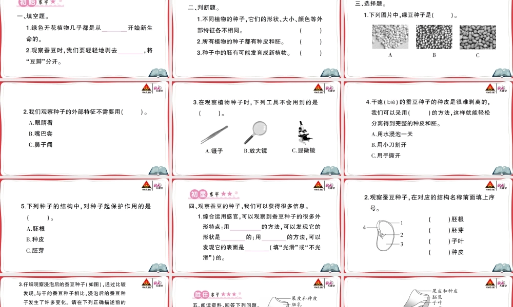 第1课 种子里孕育着新生命.ppt