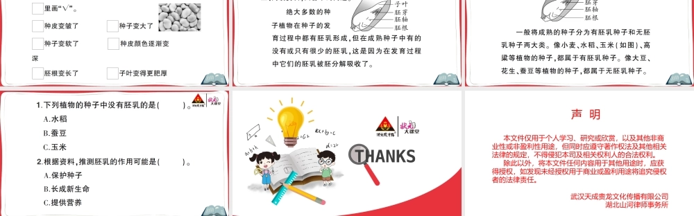 第1课 种子里孕育着新生命.ppt