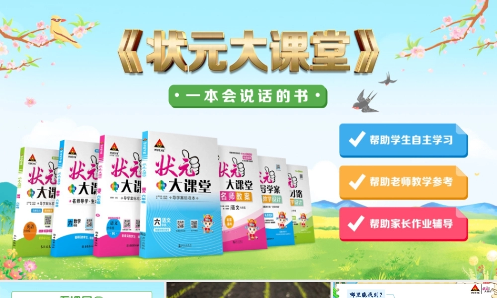 第5课 岩石、沙和黏土.pptx