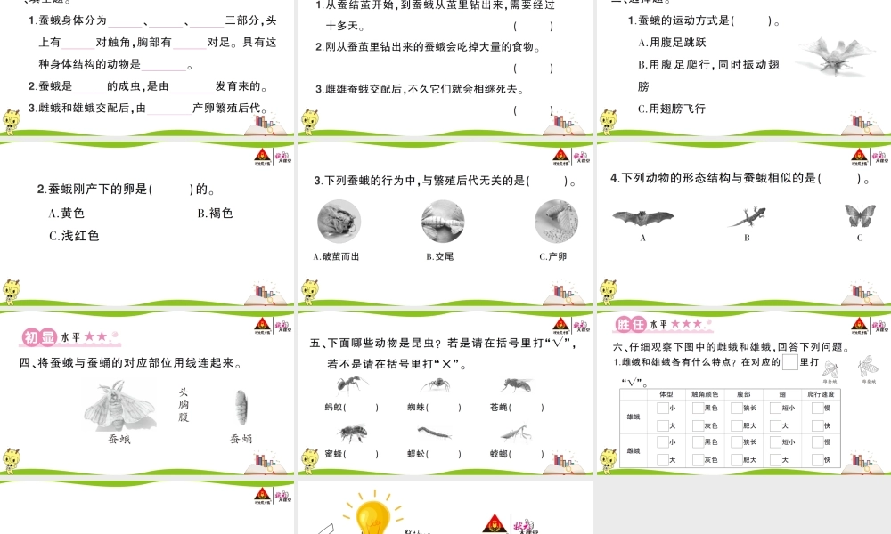 第5课 茧中钻出了蚕蛾.ppt