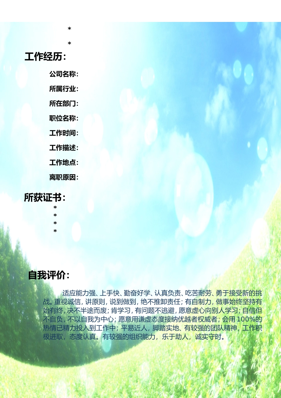 136.飞行轨迹_表格式_适用于在职人员_2页式_无内容_无封面.doc_第2页