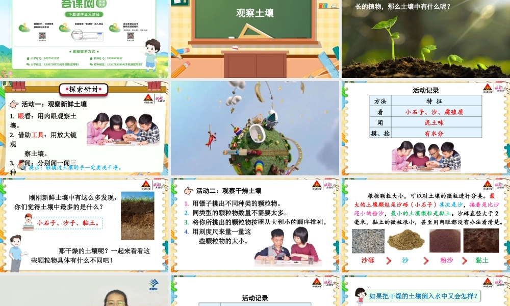 第6课 观察土壤.pptx