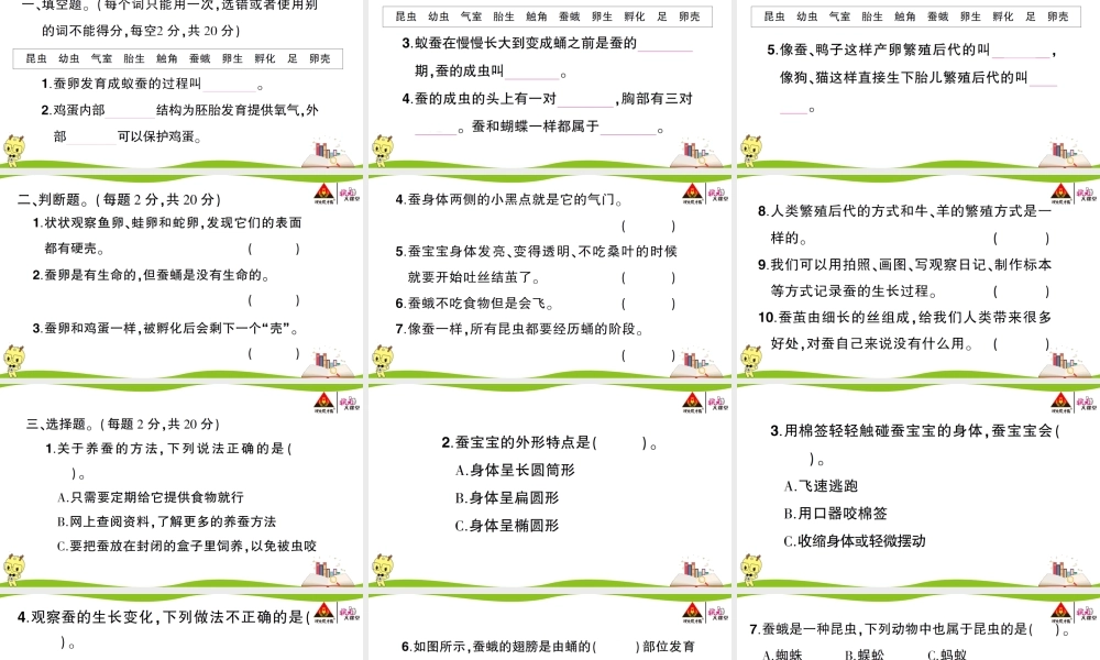 第二单元综合训练 .ppt