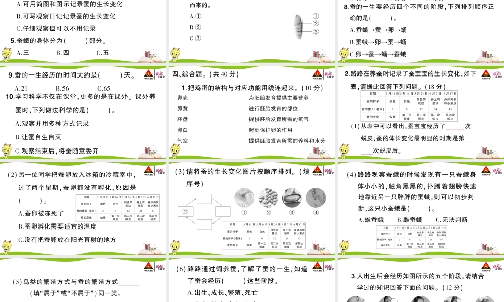 第二单元综合训练 .ppt