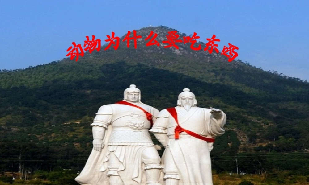 粤教版小学五年级科学下册《动物为什么要吃东西》课件——张汉超【虚拟宝库网www.xunibaoku.com】.ppt