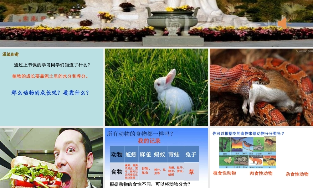 粤教版小学五年级科学下册《动物为什么要吃东西》课件——张汉超【虚拟宝库网www.xunibaoku.com】.ppt