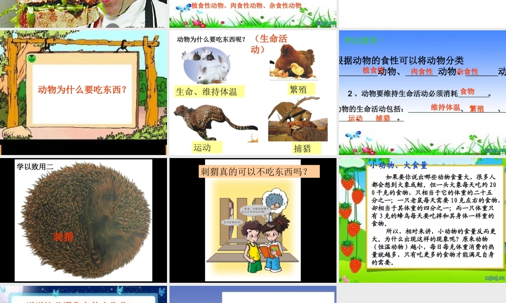 粤教版小学五年级科学下册《动物为什么要吃东西》课件——张汉超【虚拟宝库网www.xunibaoku.com】.ppt