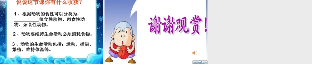 粤教版小学五年级科学下册《动物为什么要吃东西》课件——张汉超【虚拟宝库网www.xunibaoku.com】.ppt