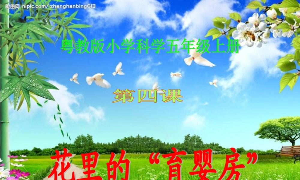 粤教版小学五年级科学上册《花里的“育婴房”》课件【虚拟宝库网www.xunibaoku.com】.ppt