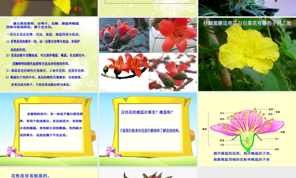 粤教版小学五年级科学上册《花里的“育婴房”》课件【虚拟宝库网www.xunibaoku.com】.ppt