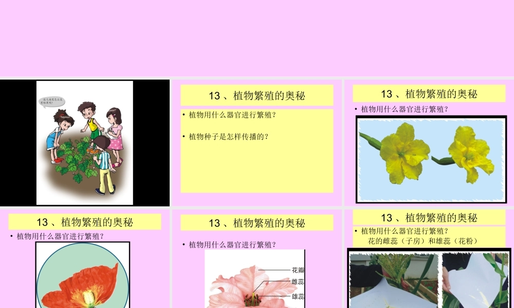 粤教版小学五年级科学下册《植物繁殖的奥秘》课件【虚拟宝库网www.xunibaoku.com】.ppt