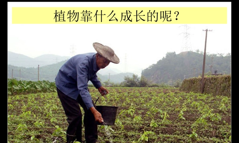 粤教版小学五年级科学下册《植物靠什么成长》课件【虚拟宝库网www.xunibaoku.com】.ppt