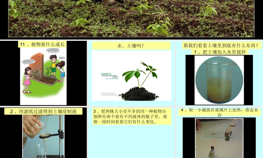 粤教版小学五年级科学下册《植物靠什么成长》课件【虚拟宝库网www.xunibaoku.com】.ppt