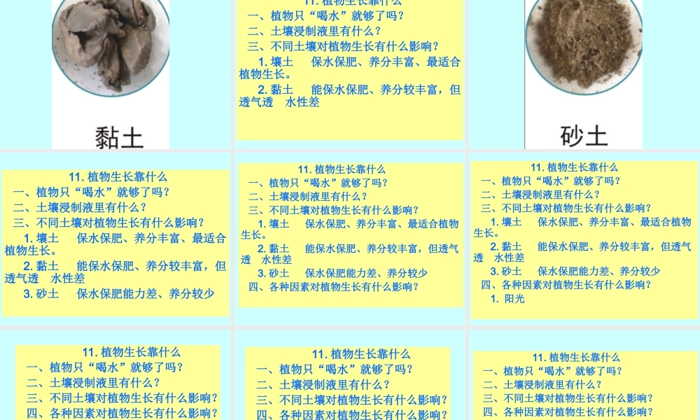粤教版小学五年级科学下册《植物靠什么成长》课件【虚拟宝库网www.xunibaoku.com】.ppt