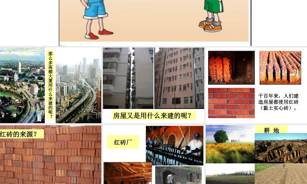 粤教版小学六年级科学下册《珍贵的耕地》ppt【虚拟宝库网www.xunibaoku.com】.ppt