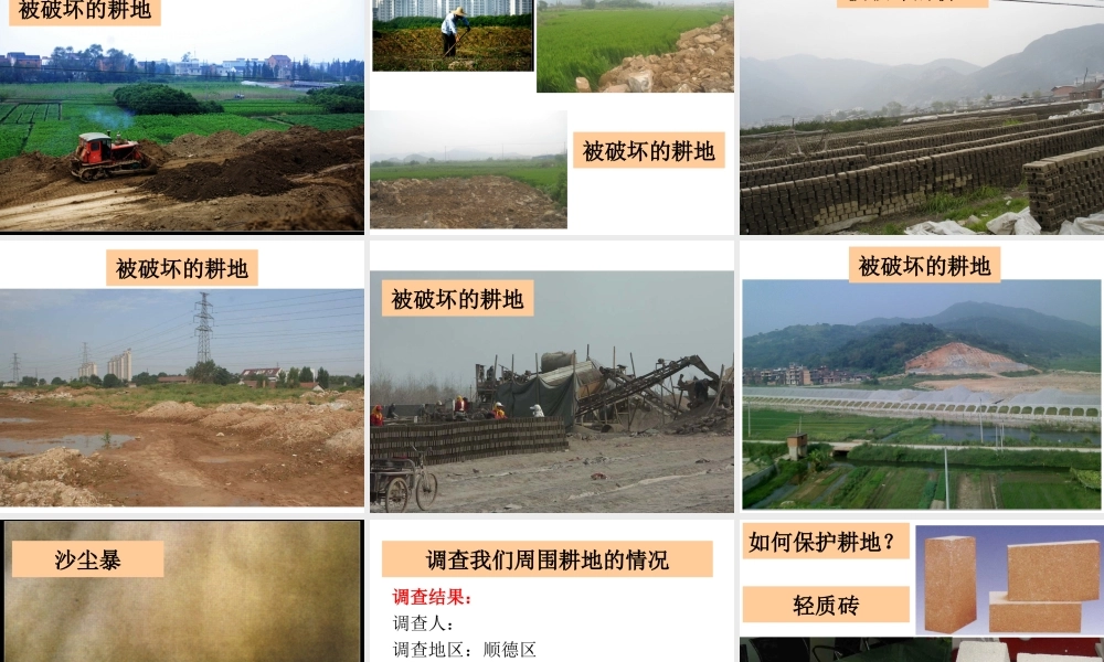 粤教版小学六年级科学下册《珍贵的耕地》ppt【虚拟宝库网www.xunibaoku.com】.ppt