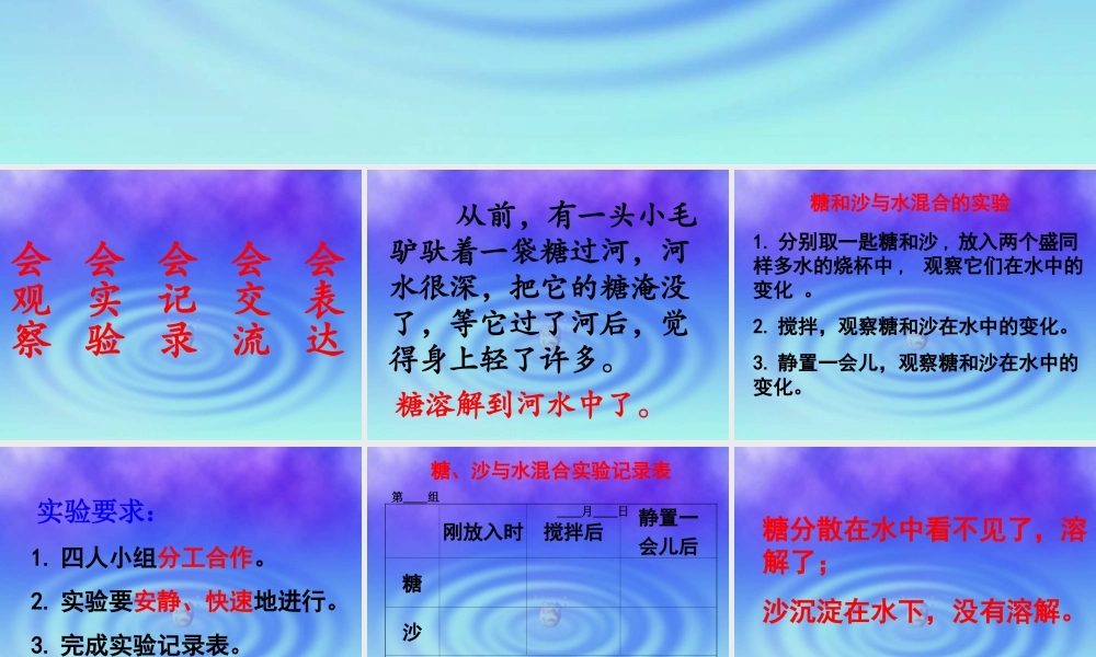 鄂教版小学科学三上《13糖到哪里去了》PPT课件【虚拟宝库网www.xunibaoku.com】.ppt