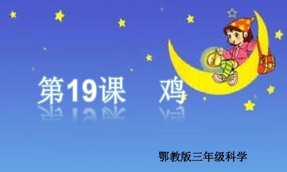 鄂教版小学科学三上《19鸡》PPT课件【虚拟宝库网www.xunibaoku.com】.ppt
