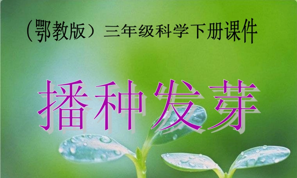 鄂教版小学科学三下《1.播种发芽》PPT课件(2) 【学霸网www.xue-ba.org】.ppt