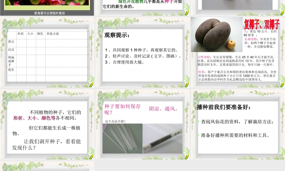 鄂教版小学科学三下《1.播种发芽》PPT课件(2) 【学霸网www.xue-ba.org】.ppt