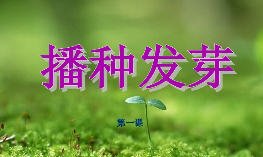 鄂教版小学科学三下《1.播种发芽》PPT课件(1) 【学霸网www.xue-ba.org】.ppt