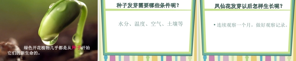 鄂教版小学科学三下《1.播种发芽》PPT课件(1) 【学霸网www.xue-ba.org】.ppt
