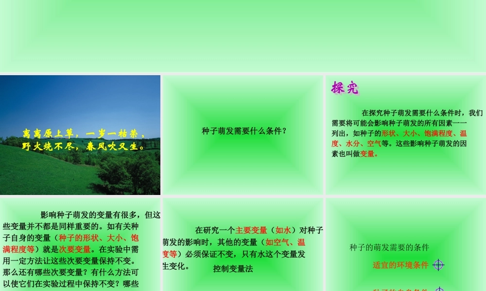 鄂教版小学科学三下《1.播种发芽》PPT课件(5) 【学霸网www.xue-ba.org】.ppt