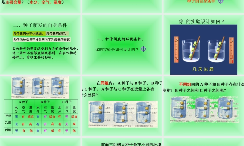 鄂教版小学科学三下《1.播种发芽》PPT课件(5) 【学霸网www.xue-ba.org】.ppt
