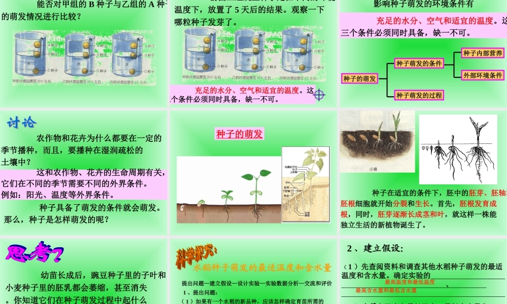鄂教版小学科学三下《1.播种发芽》PPT课件(5) 【学霸网www.xue-ba.org】.ppt