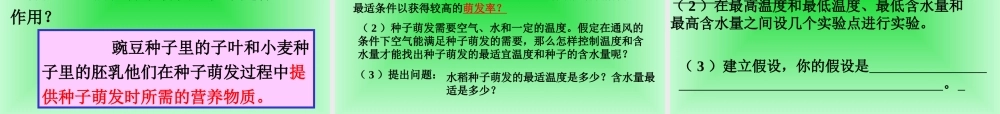鄂教版小学科学三下《1.播种发芽》PPT课件(5) 【学霸网www.xue-ba.org】.ppt