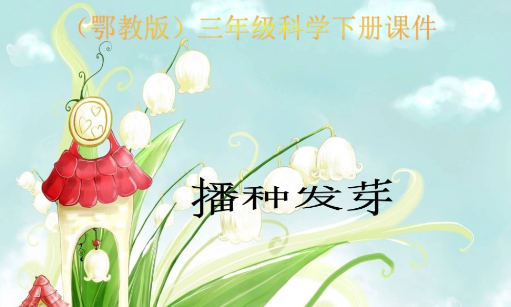 鄂教版小学科学三下《1.播种发芽》PPT课件(3) 【学霸网www.xue-ba.org】.ppt