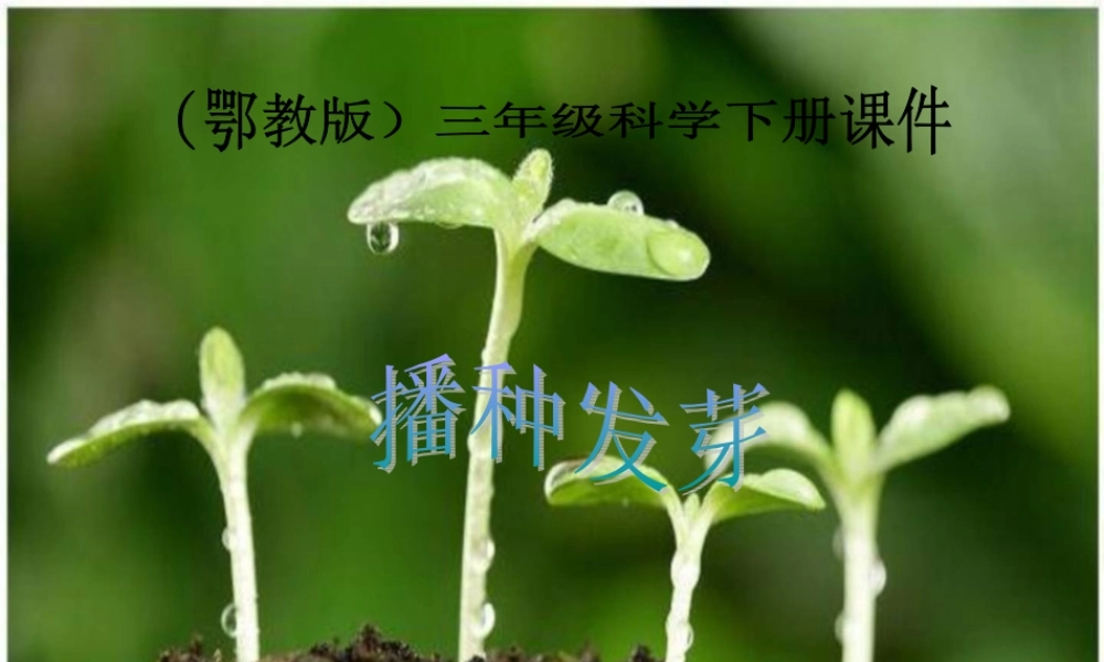 鄂教版小学科学三下《1.播种发芽》PPT课件(4) 【学霸网www.xue-ba.org】.ppt