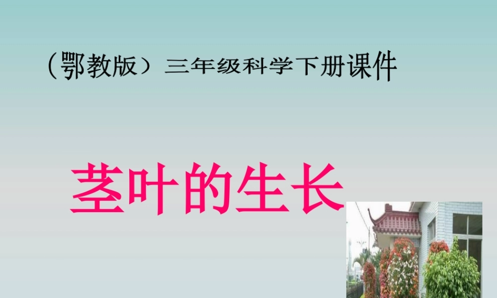 鄂教版小学科学三下《2.茎叶的生长》PPT课件(2) 【学霸网www.xue-ba.org】.ppt
