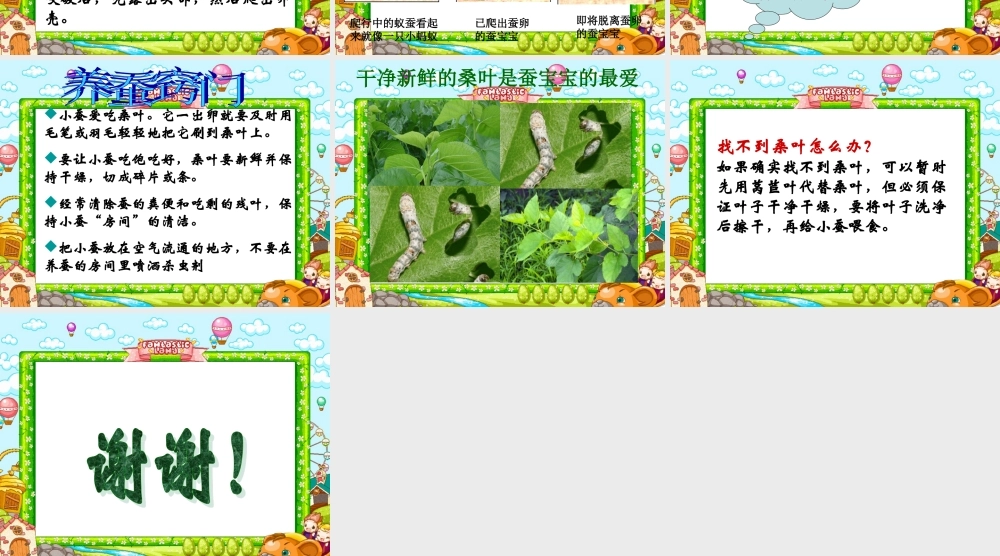 鄂教版小学科学三下《6.蚕宝宝出生了》PPT课件(2) 【学霸网www.xue-ba.org】.ppt