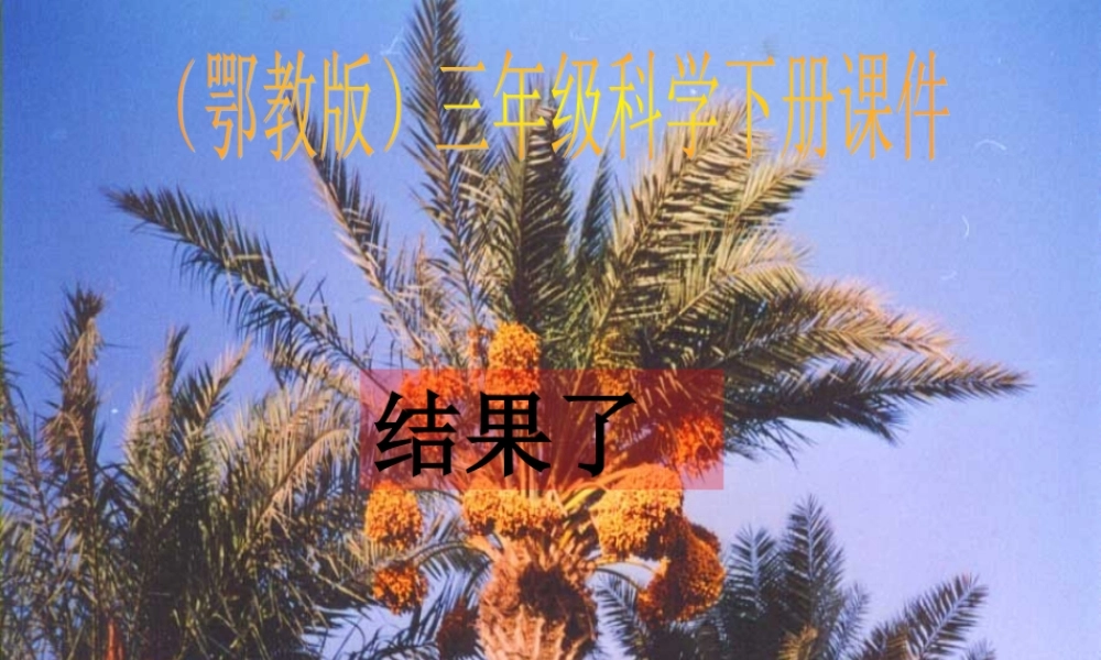 鄂教版小学科学三下《4.结果了》PPT课件【学霸网www.xue-ba.org】.ppt