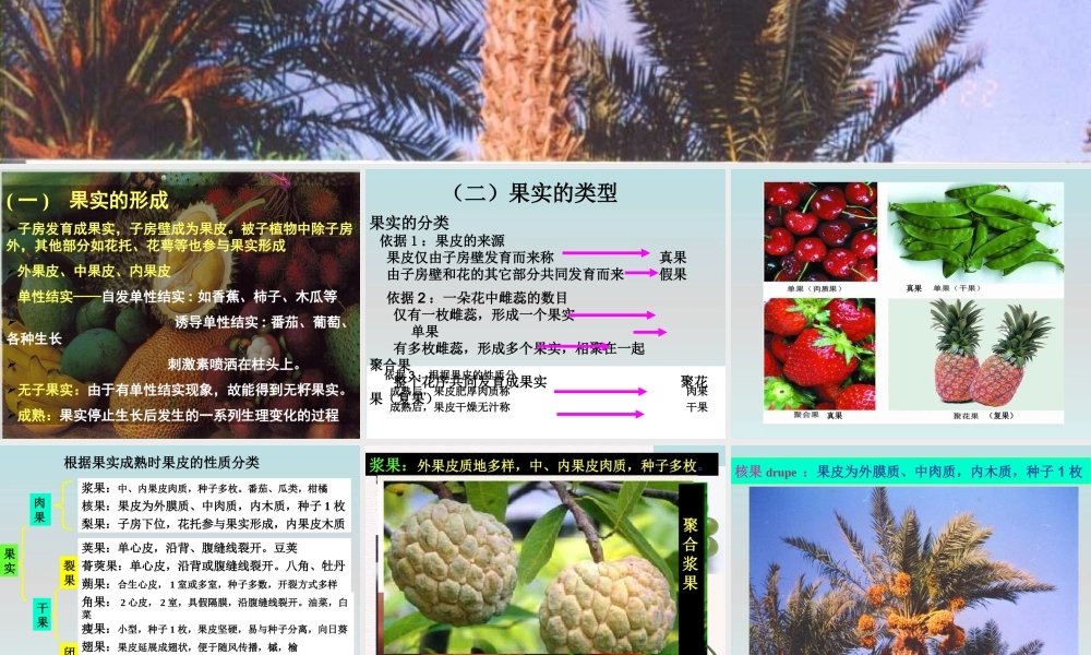 鄂教版小学科学三下《4.结果了》PPT课件【学霸网www.xue-ba.org】.ppt