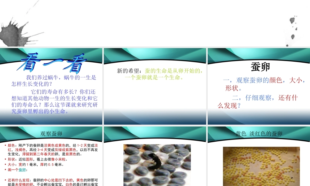 鄂教版小学科学三下《6.蚕宝宝出生了》PPT课件(3) 【学霸网www.xue-ba.org】.ppt