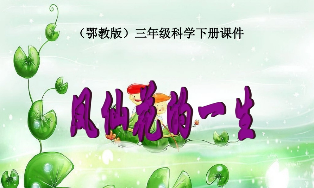 鄂教版小学科学三下《5.凤仙花的一生》PPT课件【学霸网www.xue-ba.org】.ppt