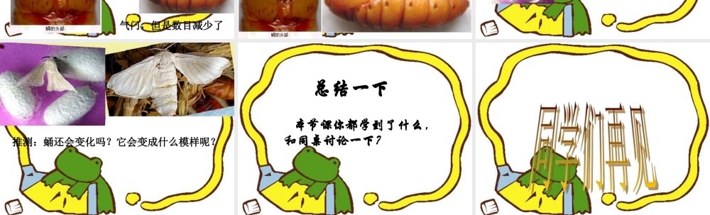 鄂教版小学科学三下《8.蚕宝宝建新房》PPT课件(3) 【学霸网www.xue-ba.org】.ppt