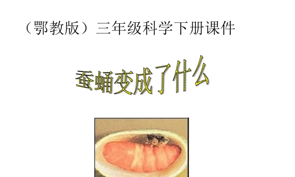 鄂教版小学科学三下《9.蚕蛹变成了什么》PPT课件(1) 【学霸网www.xue-ba.org】.ppt