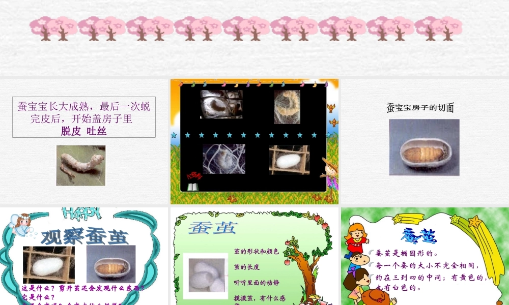 鄂教版小学科学三下《8.蚕宝宝建新房》PPT课件(2) 【学霸网www.xue-ba.org】.ppt