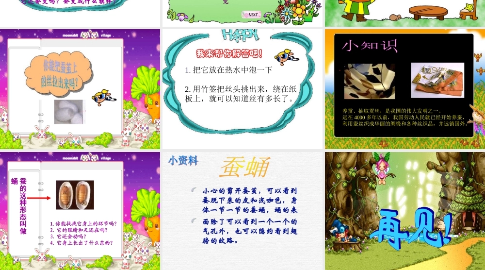 鄂教版小学科学三下《8.蚕宝宝建新房》PPT课件(2) 【学霸网www.xue-ba.org】.ppt
