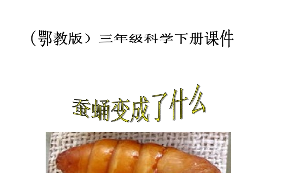 鄂教版小学科学三下《9.蚕蛹变成了什么》PPT课件(2) 【学霸网www.xue-ba.org】.ppt