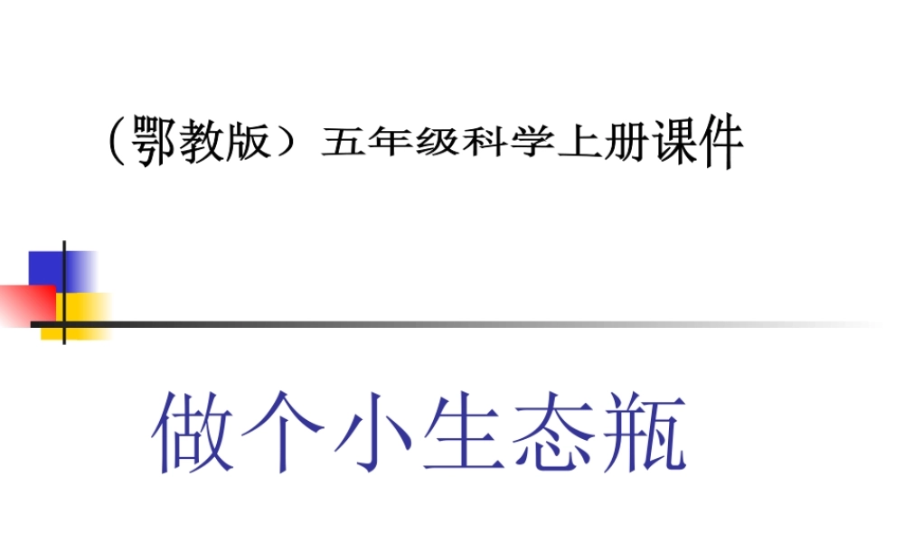 鄂教版小学科学五上《13做个小生态瓶》PPT课件 (2)【虚拟宝库网www.xunibaoku.com】.ppt
