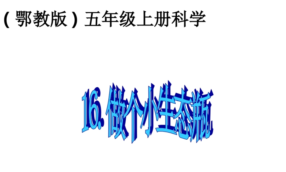 鄂教版小学科学五上《13做个小生态瓶》PPT课件 (1)【虚拟宝库网www.xunibaoku.com】.ppt