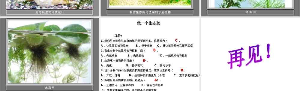鄂教版小学科学五上《13做个小生态瓶》PPT课件 (1)【虚拟宝库网www.xunibaoku.com】.ppt